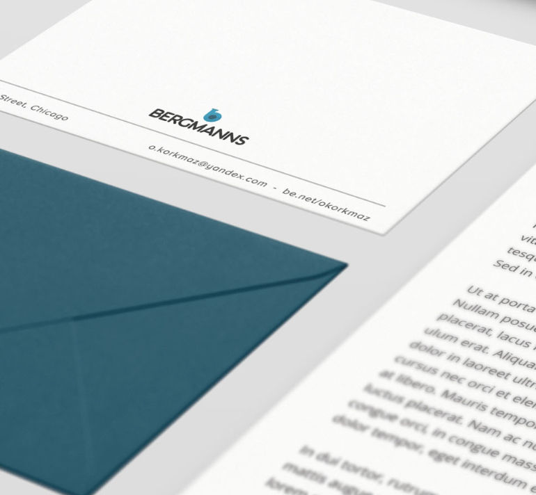 Bergmanns B.V Branding