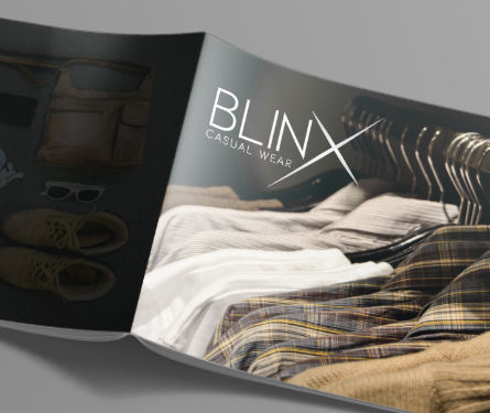 Blinx branding