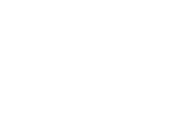 Blinx branding
