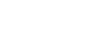 Dolf Tech Branding