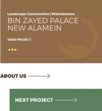 Jinet Landscape Website Design & Development