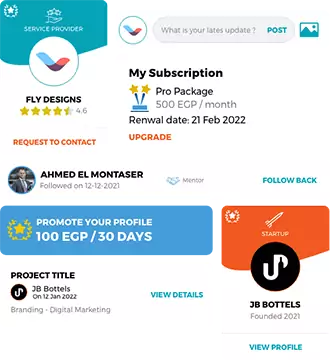 Pitchual startups connection platform UX design