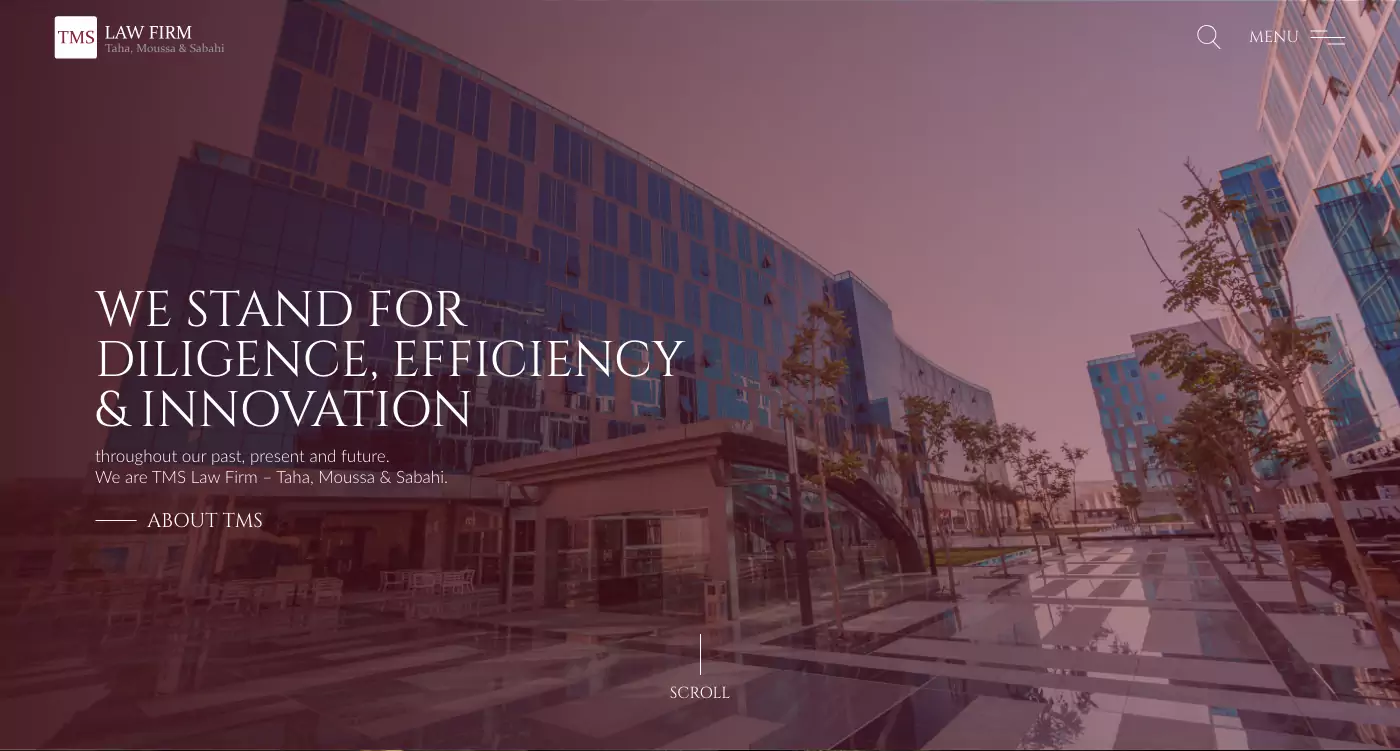 TMS Law Firm Corporate Website Design